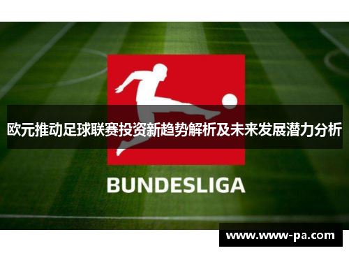 欧元推动足球联赛投资新趋势解析及未来发展潜力分析