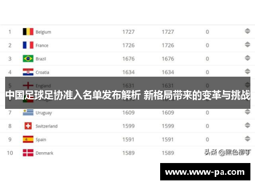中国足球足协准入名单发布解析 新格局带来的变革与挑战