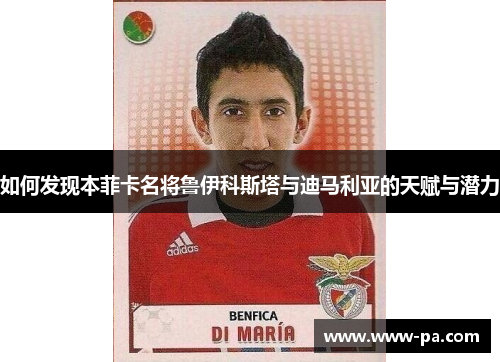 如何发现本菲卡名将鲁伊科斯塔与迪马利亚的天赋与潜力 如何发现本菲卡名将鲁伊科斯塔与迪马利亚的天赋与潜力