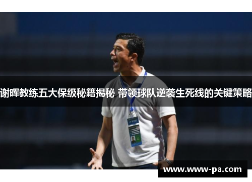 谢晖教练五大保级秘籍揭秘 带领球队逆袭生死线的关键策略