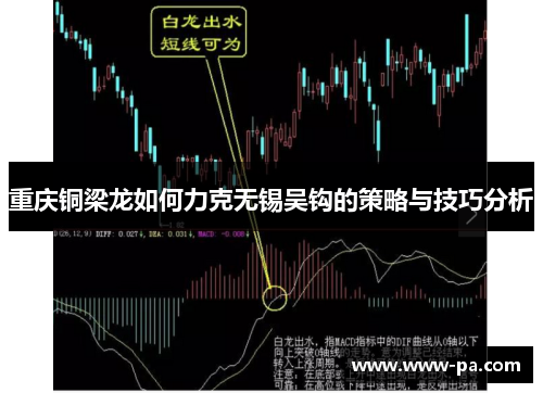 重庆铜梁龙如何力克无锡吴钩的策略与技巧分析