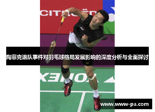 陶菲克退队事件对羽毛球格局发展影响的深度分析与全面探讨