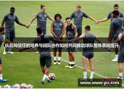 队友间信任的培养与团队协作如何共同推动球队整体表现提升