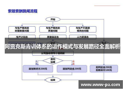 阿贾克斯青训体系的运作模式与发展路径全面解析