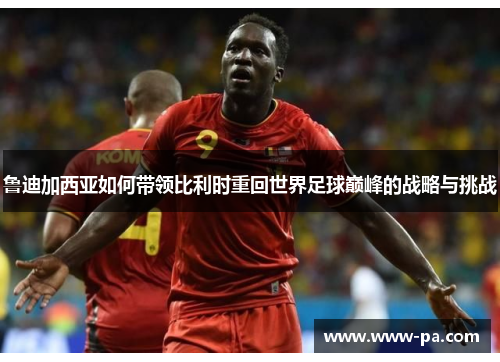 鲁迪加西亚如何带领比利时重回世界足球巅峰的战略与挑战 鲁迪加西亚如何带领比利时重回世界足球巅峰的战略与挑战