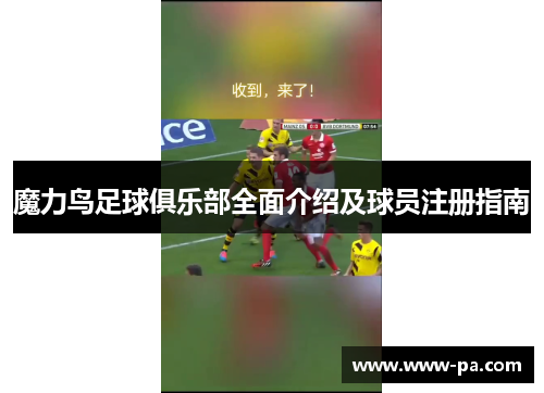 魔力鸟足球俱乐部全面介绍及球员注册指南 魔力鸟足球俱乐部全面介绍及球员注册指南