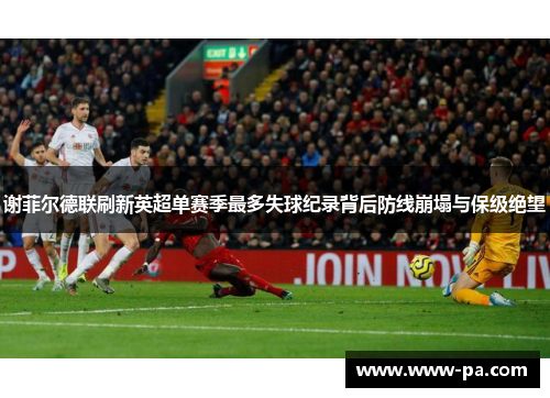 谢菲尔德联刷新英超单赛季最多失球纪录背后防线崩塌与保级绝望